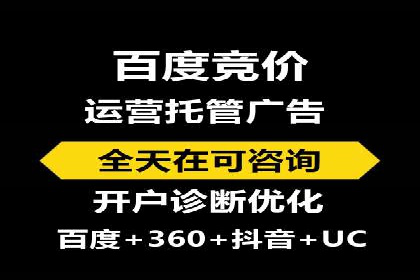 百度竞价排名策略解析：一家公司的广告投放策略全揭秘